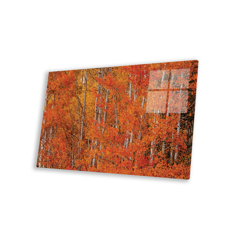 «Red Orange Delight», impression sur verre acrylique