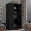Marlesha 2 Door Manufactured Wood Wardrobe-1154663749