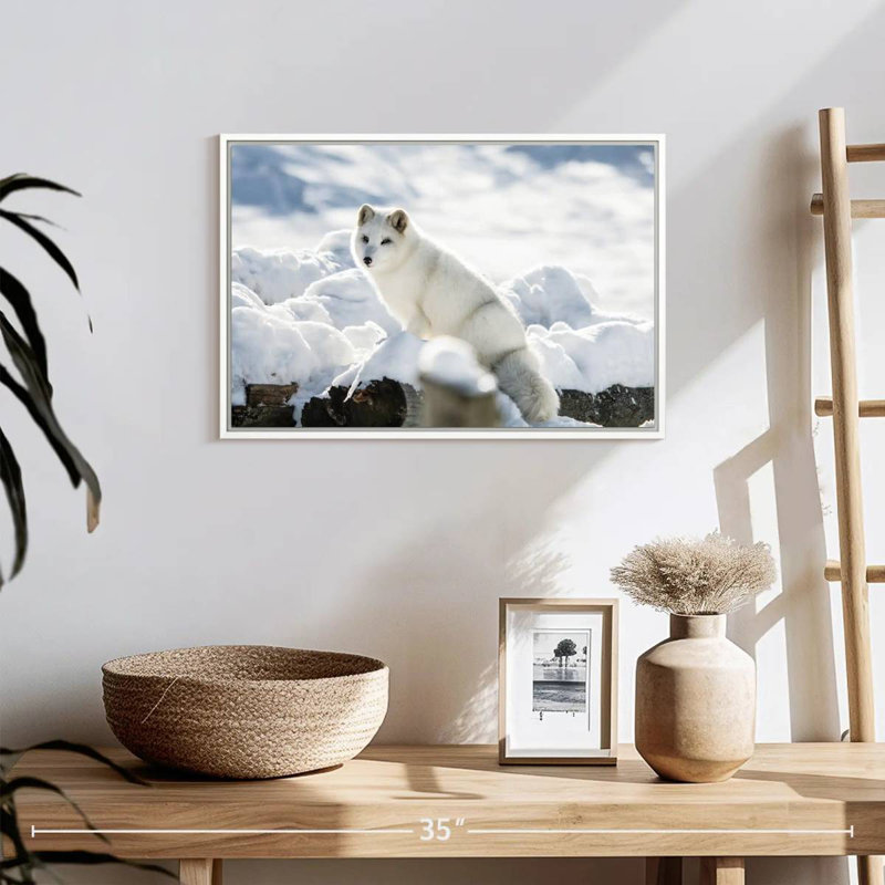 Renard arctique, Cadre flottant blanc, 19 po x 13 po