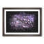Dewdrops Upon A Lilac Leaf Paint Splash - Framed Print-56915754-56915755