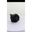 Animals Polyresin Garden Statue-1480053058