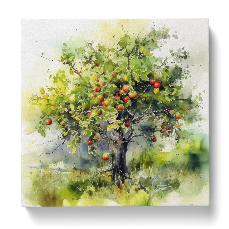 Apple Tree Watercolour - Wrapped Canvas - Framed Print, 50cm H x 50cm W x 3cm D