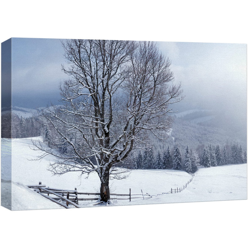 Magnifique paysage d'hiver avec des arbres recouverts de neige, Toile tendue, H 12 po x l 18 po