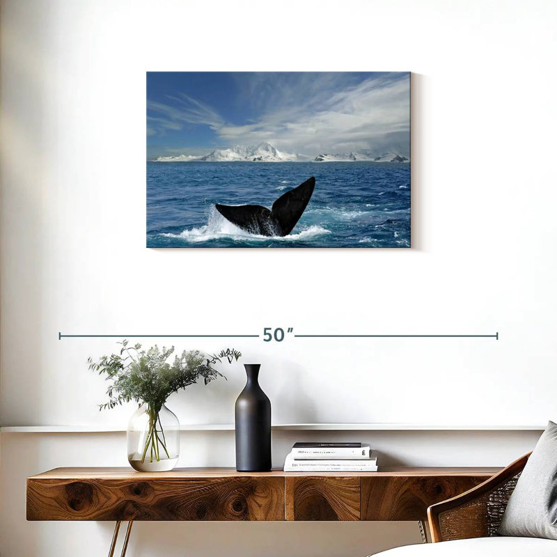 Queue de baleine de l'Antarctique Keesha