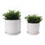 Élégante jardinière en céramique pour l'extérieur avec soucoupe et garniture à bulles-1253494356