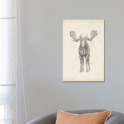 Moose Study 1 Piece Wrapped Canvas Painting