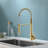 Vetta Pull Down Kitchen Faucet-100706004