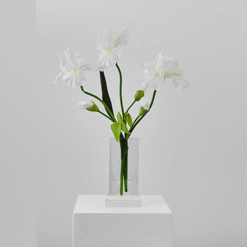 Arrangement d'illusion d'eau grand et grand iris