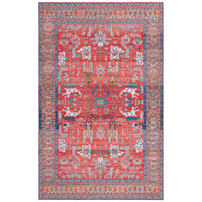 Tapis oriental performance Danna Tucson