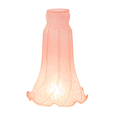 Novelty Lamp Shade