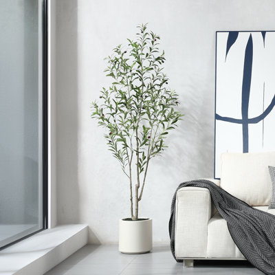 Altman Faux Olive Tree with White Planter