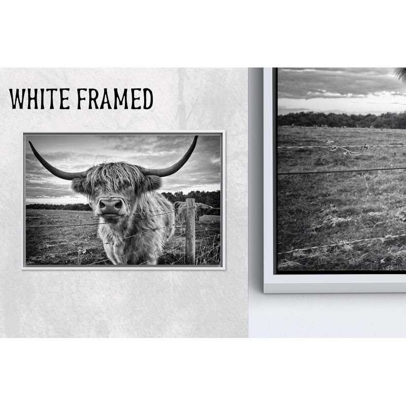 «Highland Cow», reproduction de photo de bovin écossais, affiche animalière, 23,7 po H x 31,6 po l