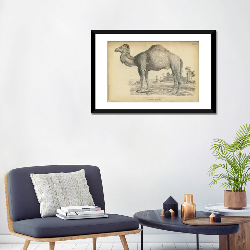 « mixte dromedary », reproduction sur toile, H 18 po x l 26 po x P 1,5 po, Toile avec cadre noir, Pas de tapis