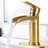 Matherne Single-handle Bathroom Faucet with Drain Assembly-50176575