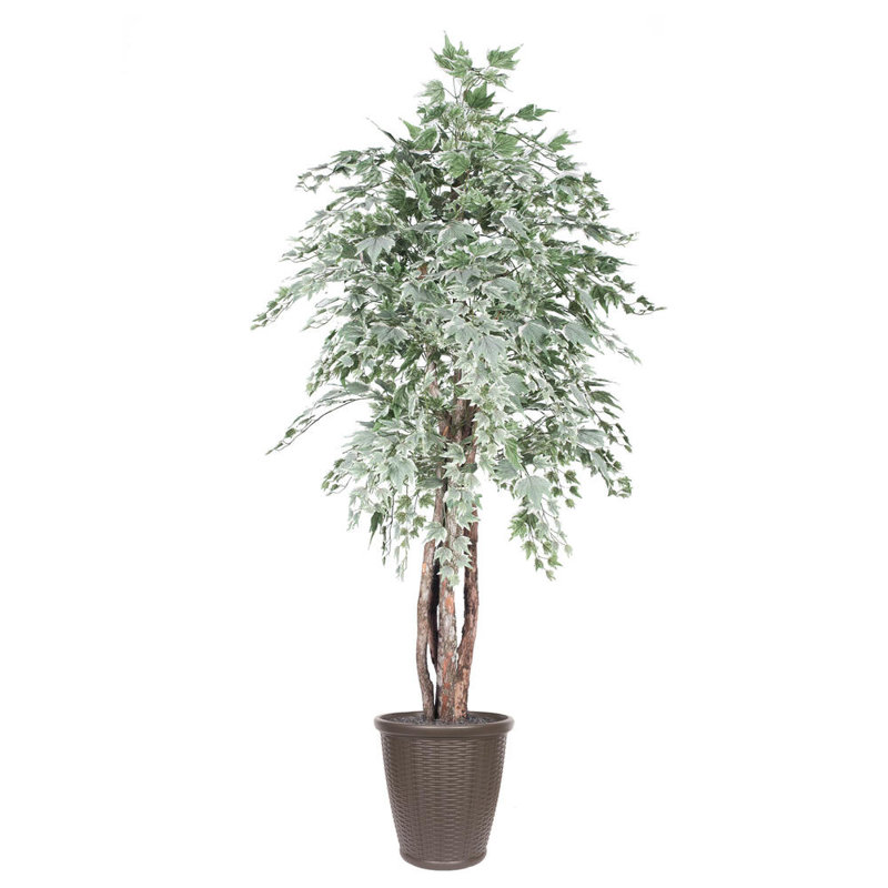 72'' Faux Tree in Pot