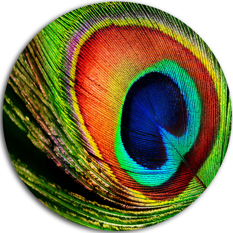 «Peacock Feather», impression, H 38 po x l 38 po x P 1 po, Métal
