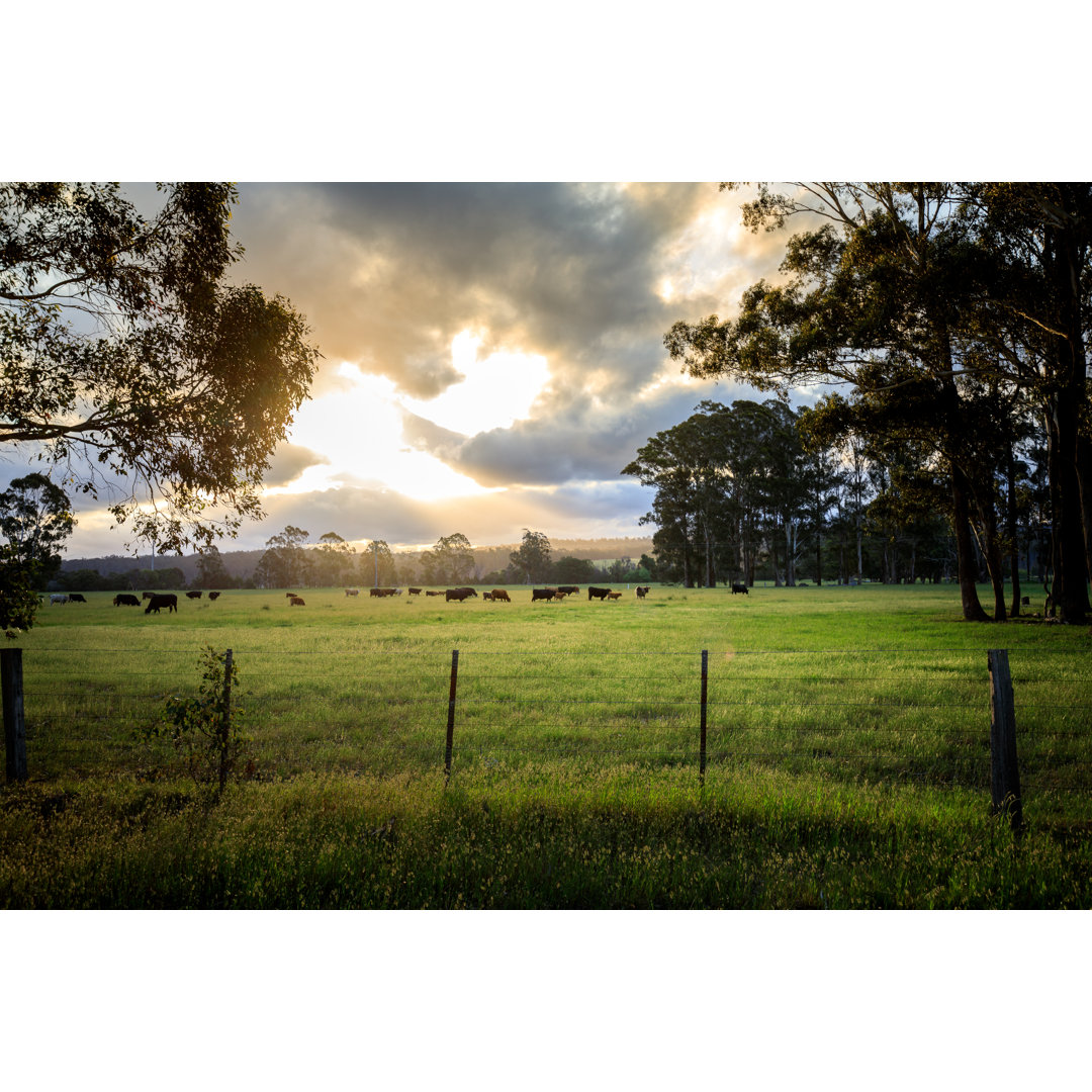 Australian Cattle Farm by Jandrielombard - Wrapped Canvas Print