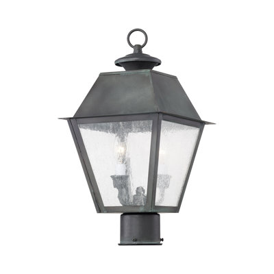 Fraida Lantern Head