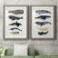Baleine graphique I - ensemble de 2 cadres photo-966349126-966349135-1023591133