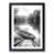 Black Framed selected