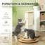 Scratching Post