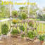 Plant Stand