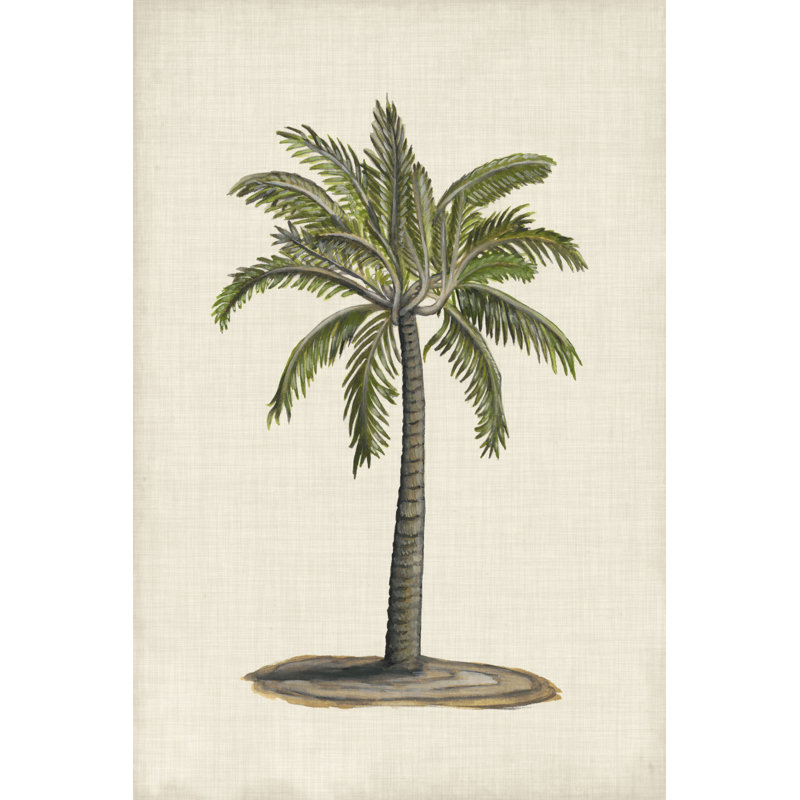 UA CH British Palms I - Art Prints on Canvas, 46cm H x 30cm W x 3.8cm D