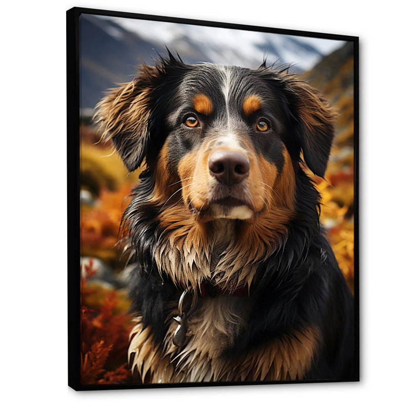Bernese Mountain Majesty III, H 40 po x l 30 po x P 1,5 po, Cadre flottant noir