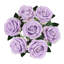 Velours rosier-363887444