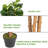 72'' Faux Banyan Tree in Pot