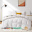 Édredon 100% coton duvet d'oie européen-89754961