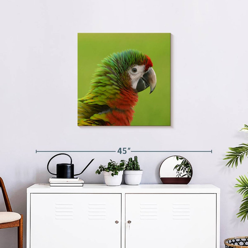Brampt Macaw Bird Head, 24" H x 24" W