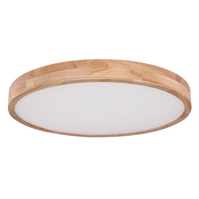 Meleze Plastic LED Flush Mount