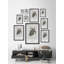 Chelonioidea - Single Picture Frame Print-1552650876