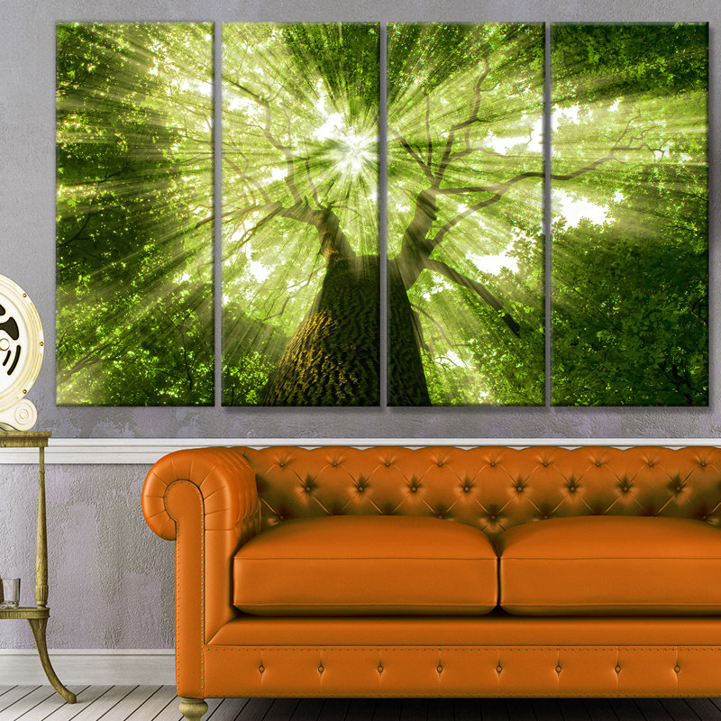 « soleil light peeking through green tree », reproduction de photo à multiples images sur toile