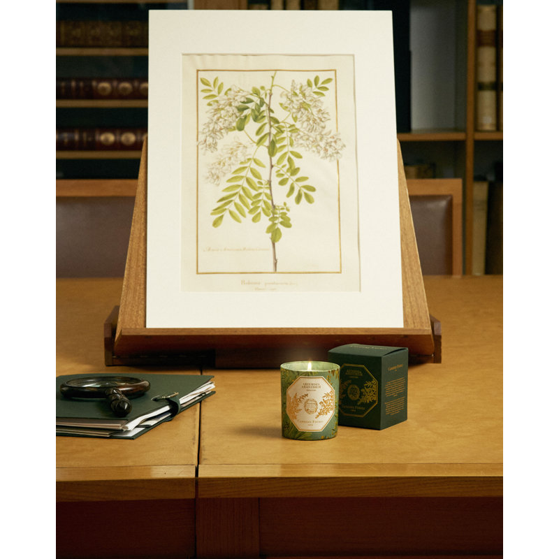 Absinthe Candle