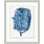 Blue Sea Fan 5 Print