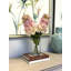 Luxe Cone Hydrangea Arrangement-69486212