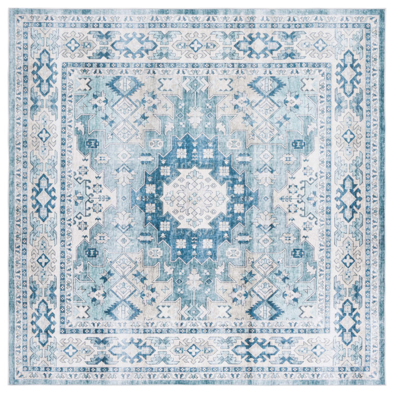 Abiha Performance Machine Washable Oriental Rug, Square 6'