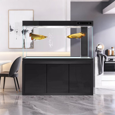 Grand aquarium 47,24 po
