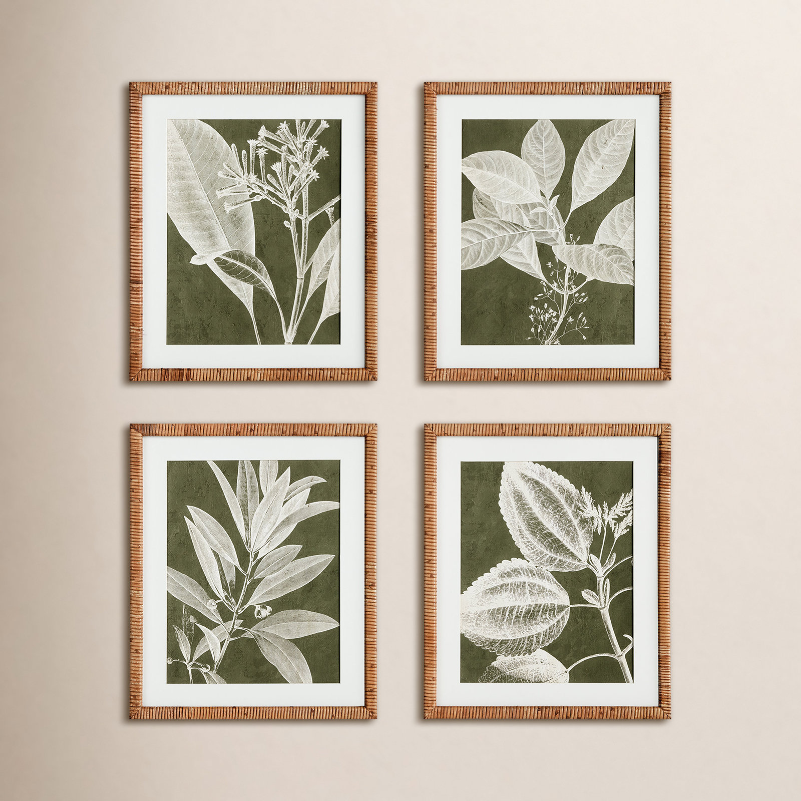 Translucent Stem 4-Piece Print Set