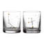 Stellar Frontiers Tumbler Pair