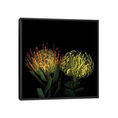 Double Fun, Flower Fireworks, reproduction de photo sur toile tendue