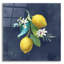 «Lemon Branches 2» par Danhui Nai, art mural en verre acrylique-946589748