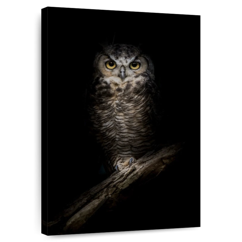 Hibou de nuit Brampt Wise, H 12 po x l 8 po