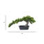 Faux plante artificielle en pot plastique | Bonsaï de 10 po de hauteur