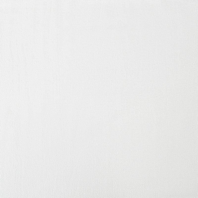 Panneau de rideau semi-diaphane Scott, L 50 po x L 84 po, Blanc