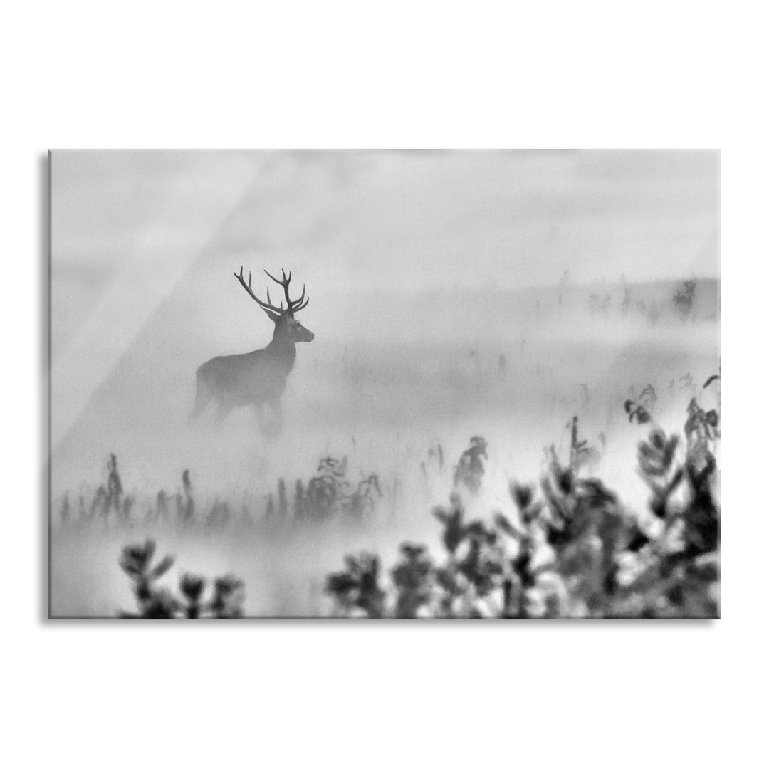 Glasbild Hirsch im Nebel