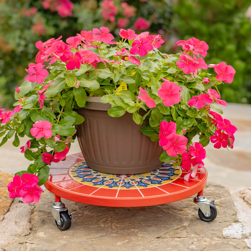 Chariot à plantes 13,8 po "Paris" (ensemble de 2)