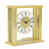 Gold is out of stock selected